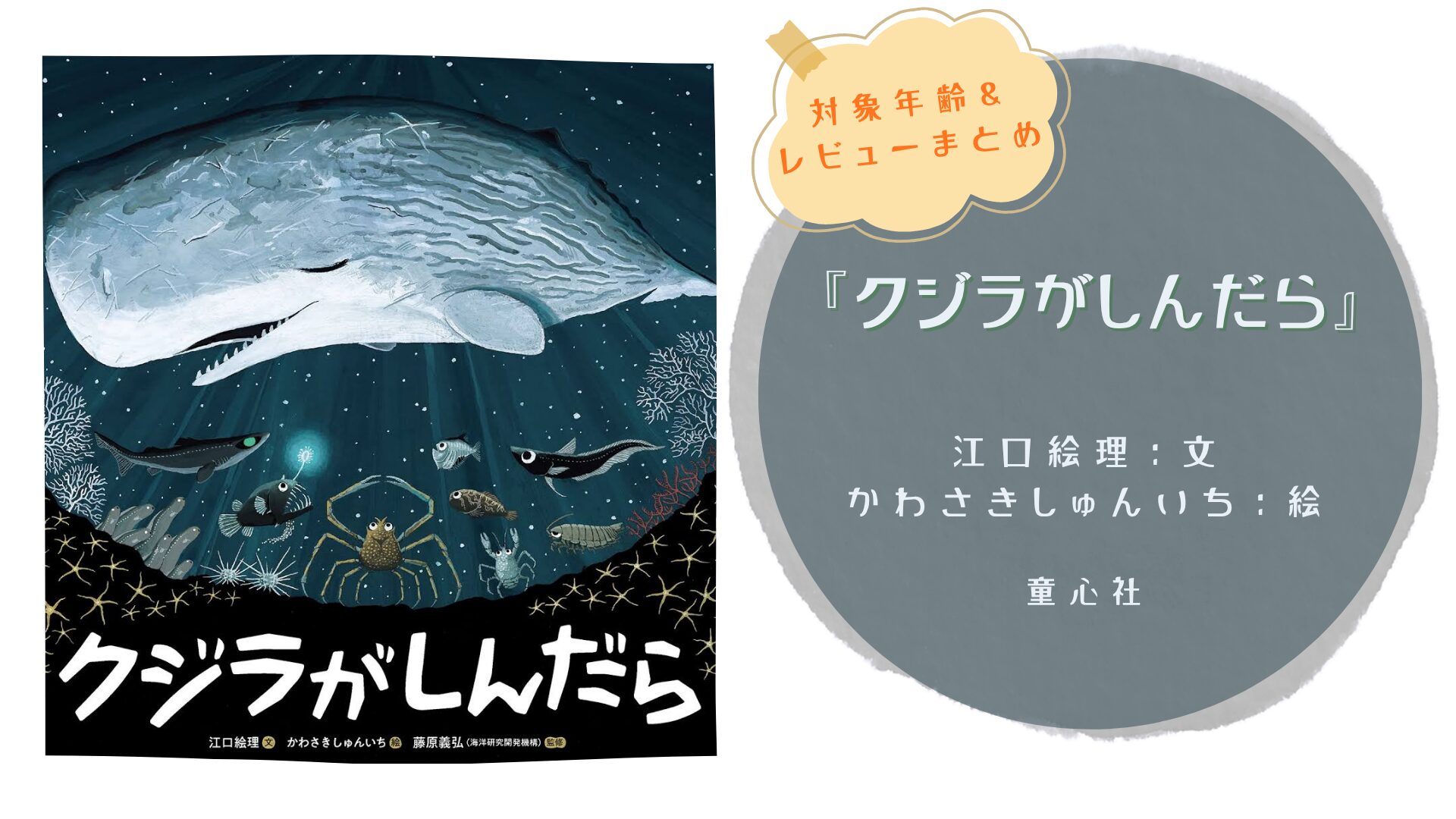 🐳絵本『クジラがしんだら』感想｜対象年齢・メッセージ性を考える