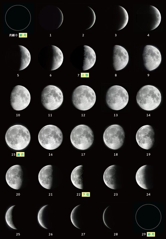 月の満ち欠けの各段階（新月→三日月→上弦→満月→下弦）を示す図表。「上弦の月」「下弦の月」の呼び名の由来も解説されている。